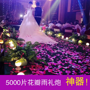 婚慶用品禮炮噴彩帶禮花筒結婚婚禮慶典手持花筒開業花瓣禮花批發